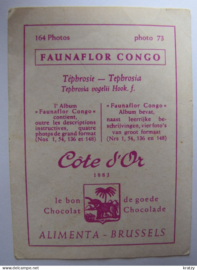 CHROMOS - Chocolat Côte D'Or - Faunaflor - Côte D'Or