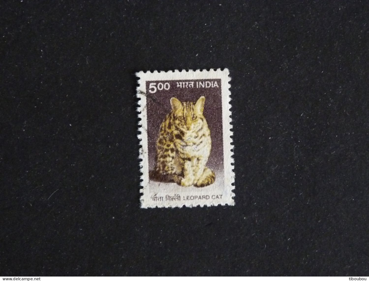 INDE INDIA YT 1525 OBLITERE - CHAT LEOPARD CAT KATZ - Used Stamps