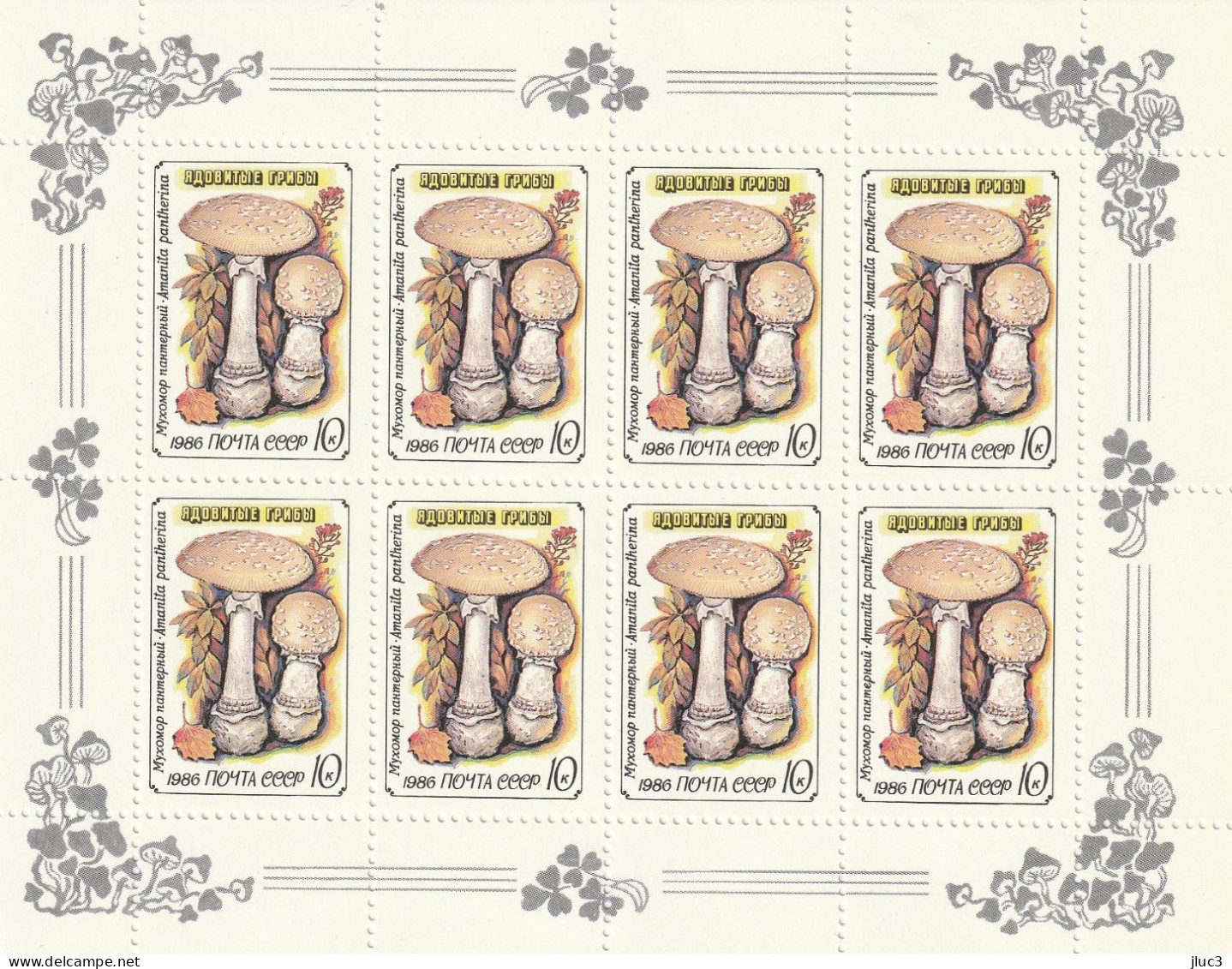 PF5304-08(2) - URSS 1986 - La Superbe Série De 5 Feuilles Entières Neuves**  N° 5304 à 5308 (YT)  --  FLORE  Champignons - Full Sheets