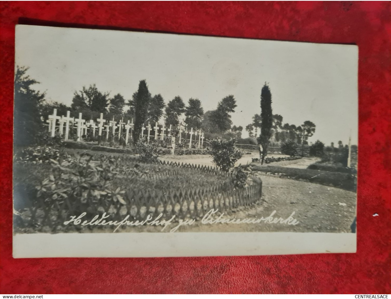 Carte LANGENMARK HELDENFRIEDHOF CARTE PHOTO OSTNIEUIKERKE CIMETIERE - Langemark-Poelkapelle