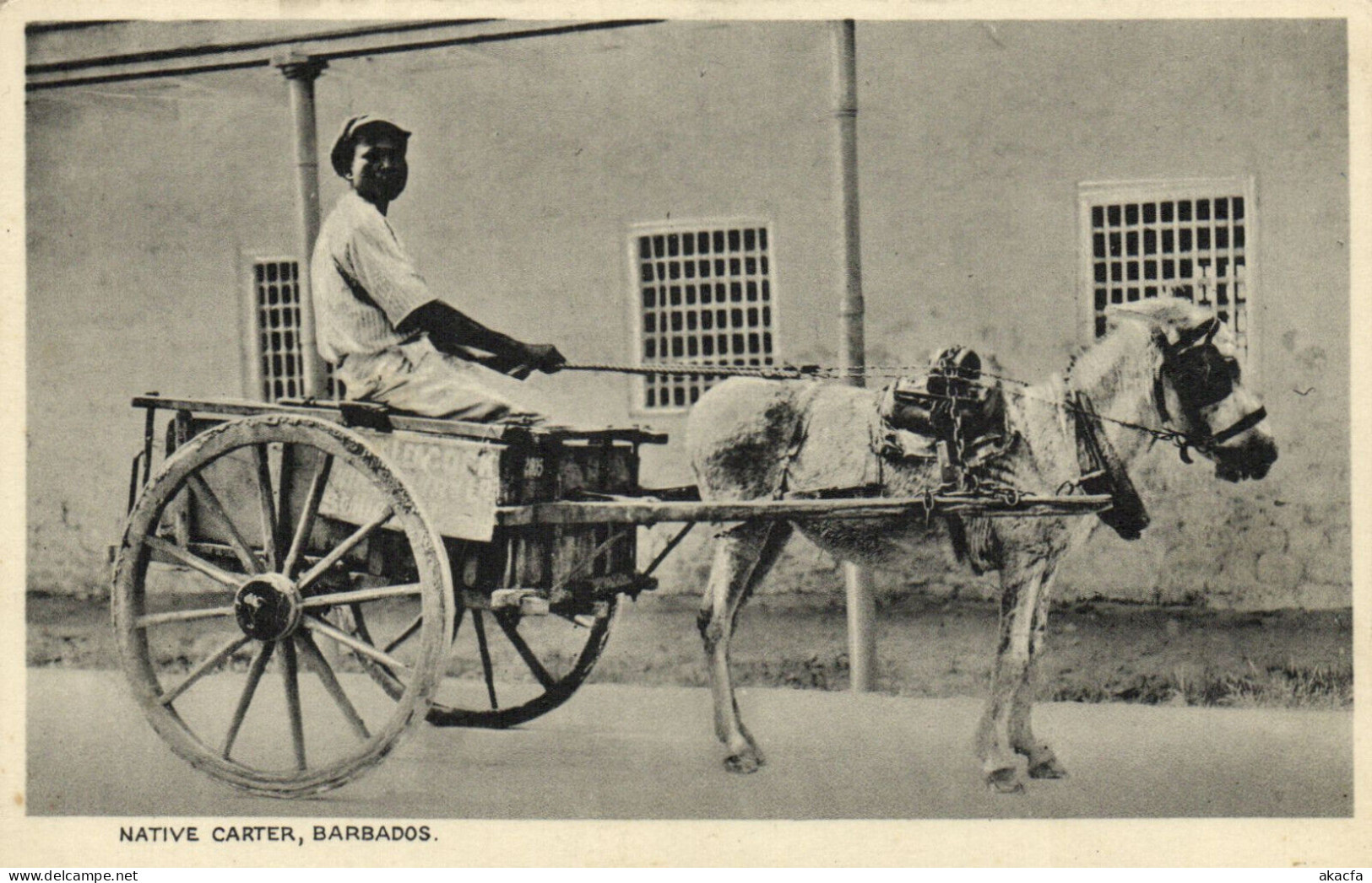 PC BARBADOS, NATIVE CARTER, Vintage Postcard (b50054) - Barbados
