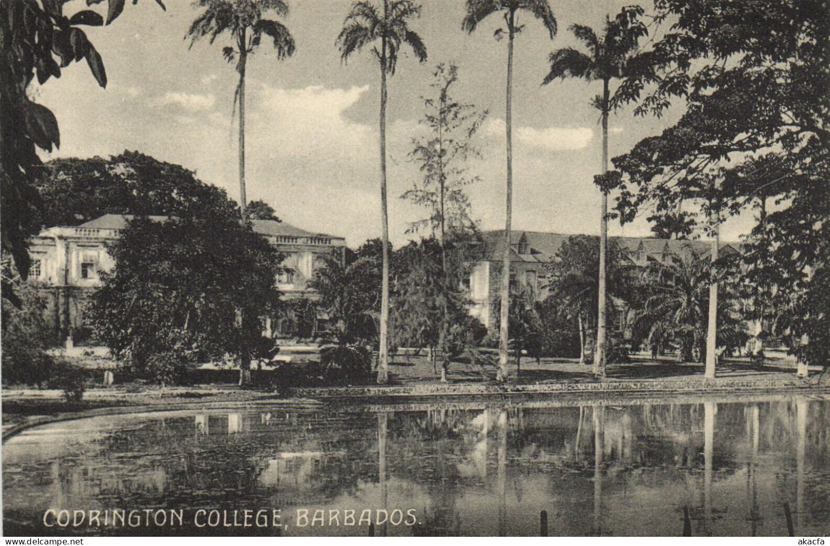 PC BARBADOS, CODRINGTON COLLEGE, Vintage Postcard (b50053) - Barbades