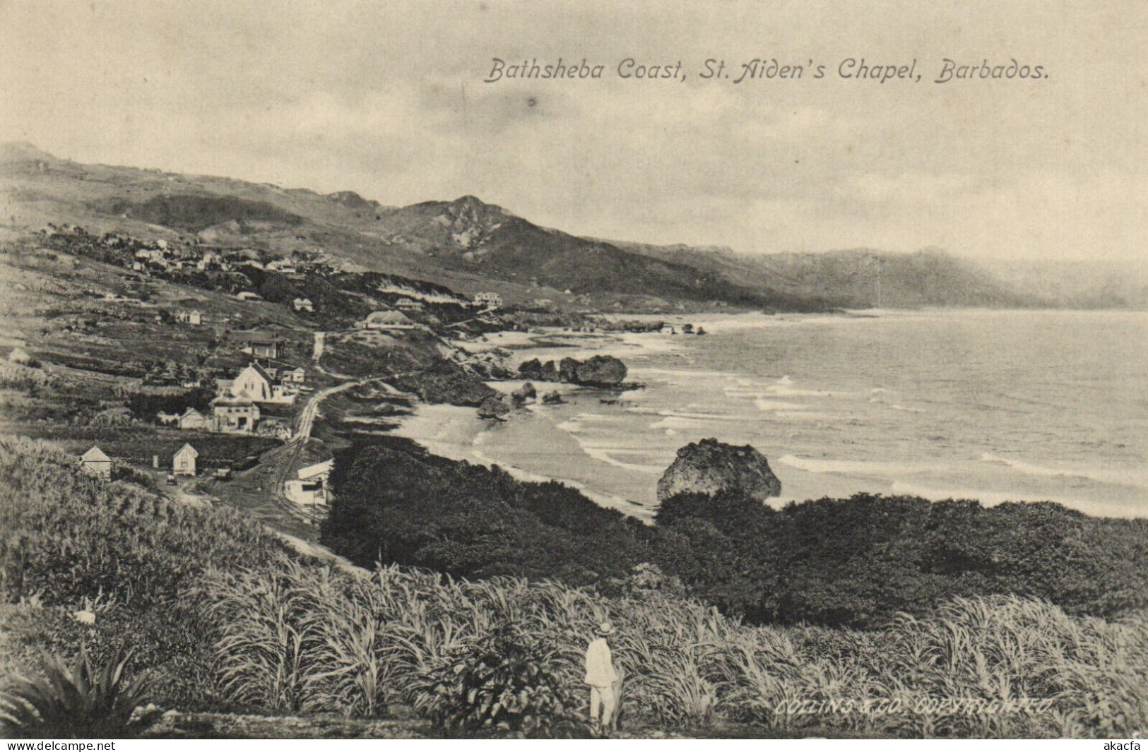 PC BARBADOS, BATHSHEBA COAST, ST. AIDEN'S CHAPEL, Vintage Postcard (b50055) - Barbados