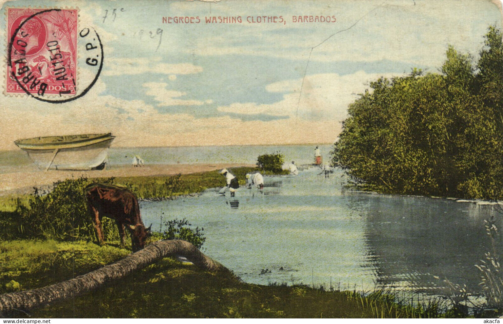PC BARBADOS, NATIVES WAHSING CLOTHES, Vintage Postcard (b50065) - Barbades