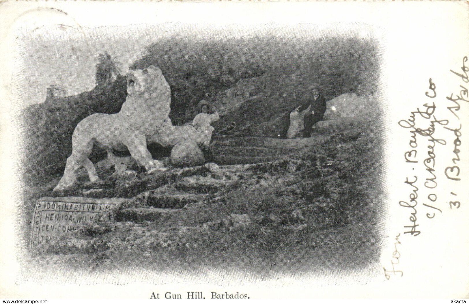 PC BARBADOS, AT GUN HILL, THE LION, Vintage Postcard (b50075) - Barbados