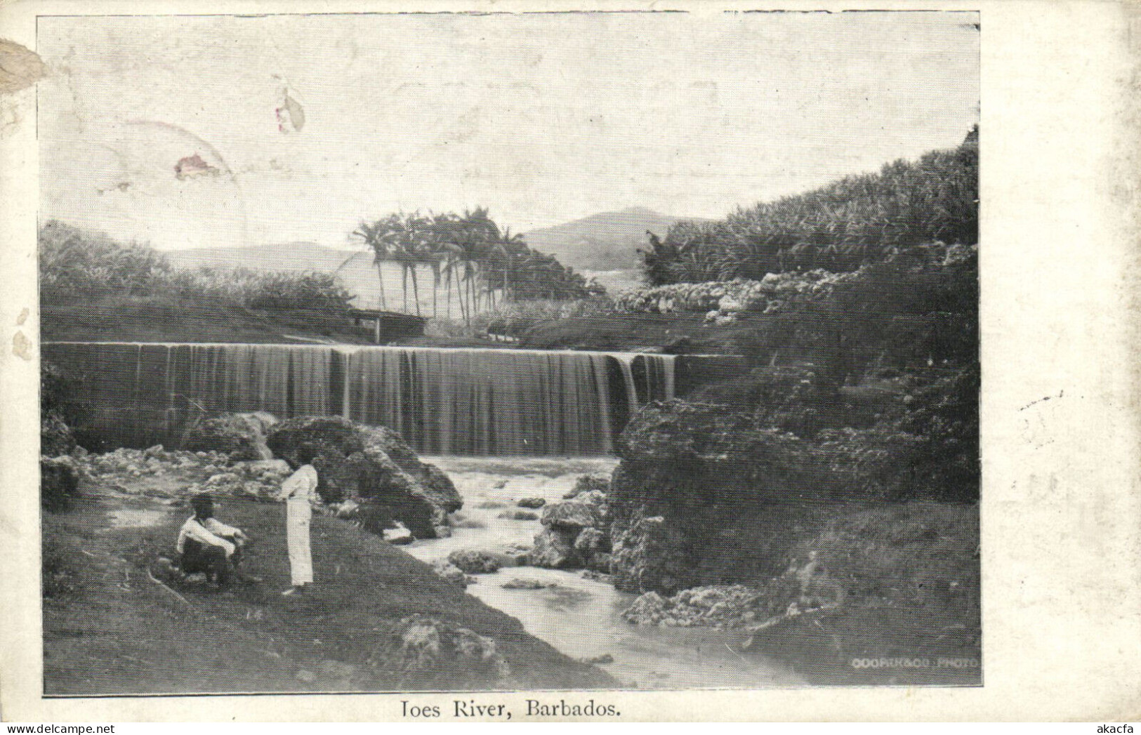 PC BARBADOS, JOES RIVER, Vintage Postcard (b50078) - Barbados