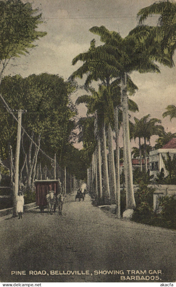 PC BARBADOS, PINE ROAD, BELLOVILLE, SHOWING TRAM, Vintage Postcard (b50083) - Barbados