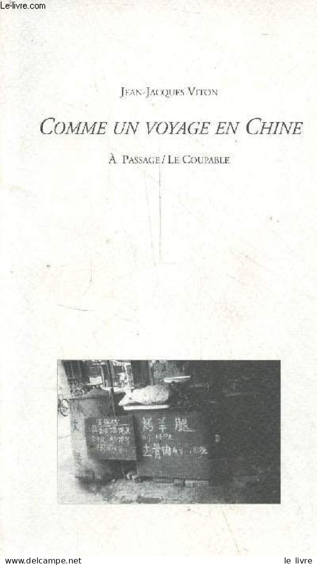 Comme Un Voyage En Chine. - Viton Jean-Jacques - 1996 - Autres & Non Classés