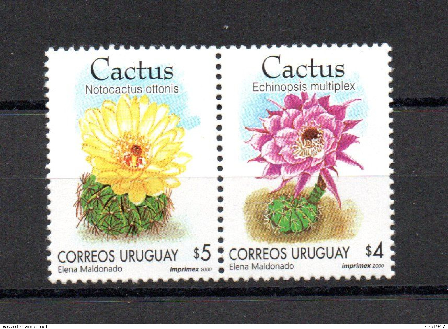 Year 2000 Uruguay Cactus, MNH, Shipping From Costa Rica By International Tracking Mail - Uruguay