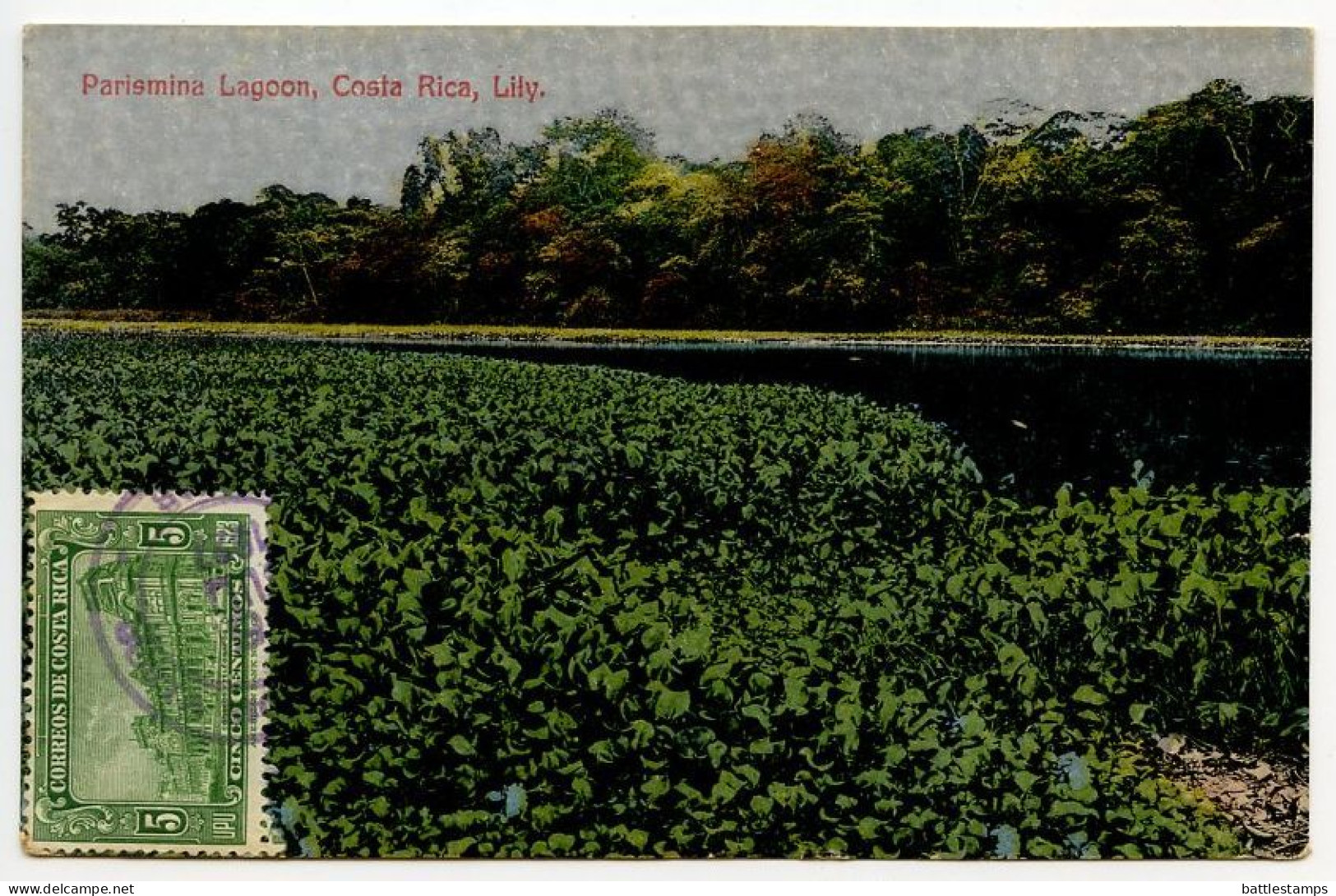 Costa Rica 1927 Postcard Parismina Lagoon - Lily; Scott 121 - 5c. General Post Office - Costa Rica