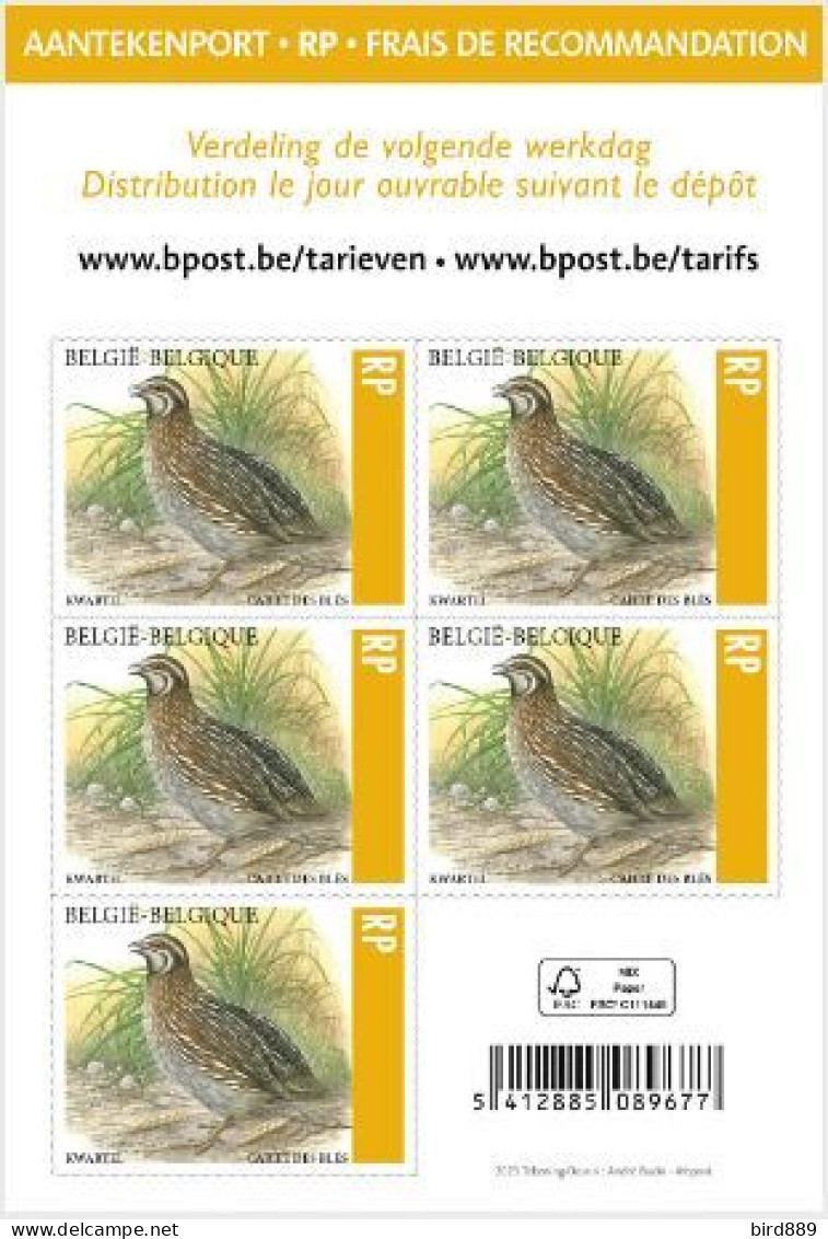 2023 Belgium  Bird Buzin Quail Full Booklet Of 5 Stamps MNH Superb - 2013-... Re Filippo