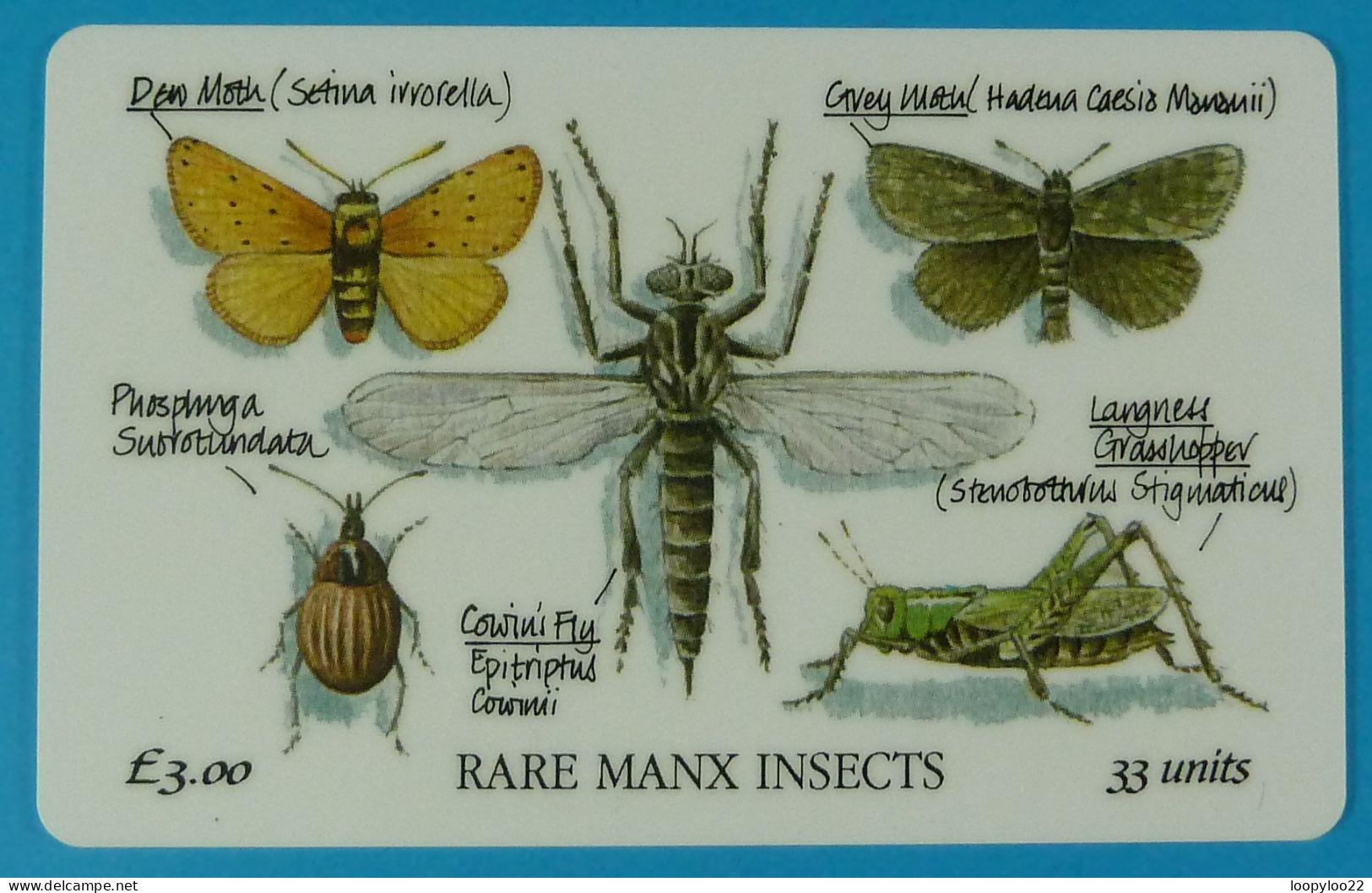 ISLE OF MAN - Manx Telecom - Rare Manx Insects - £3 - Specimen Without Control - Man (Isle Of)