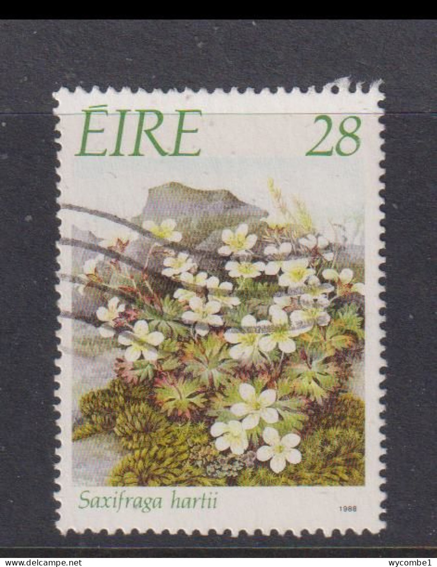 IRELAND - 1988  Flowers  28p Used As Scan - Used Stamps