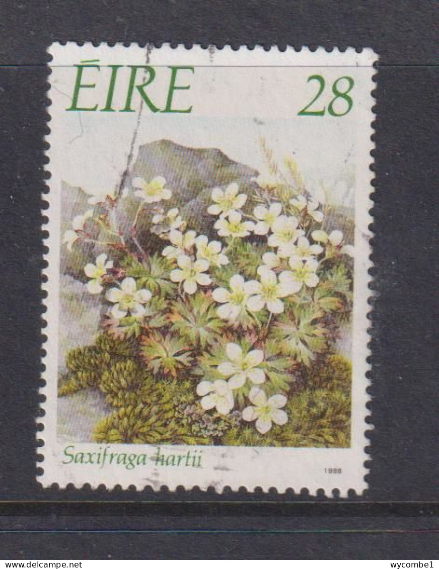 IRELAND - 1988  Flowers  28p Used As Scan - Used Stamps