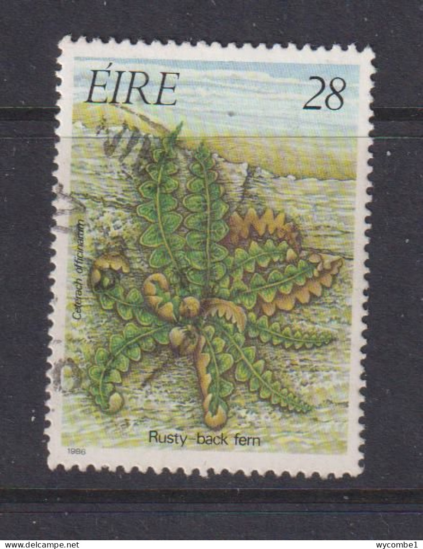 IRELAND - 1986  Ferns  28p Used As Scan - Used Stamps