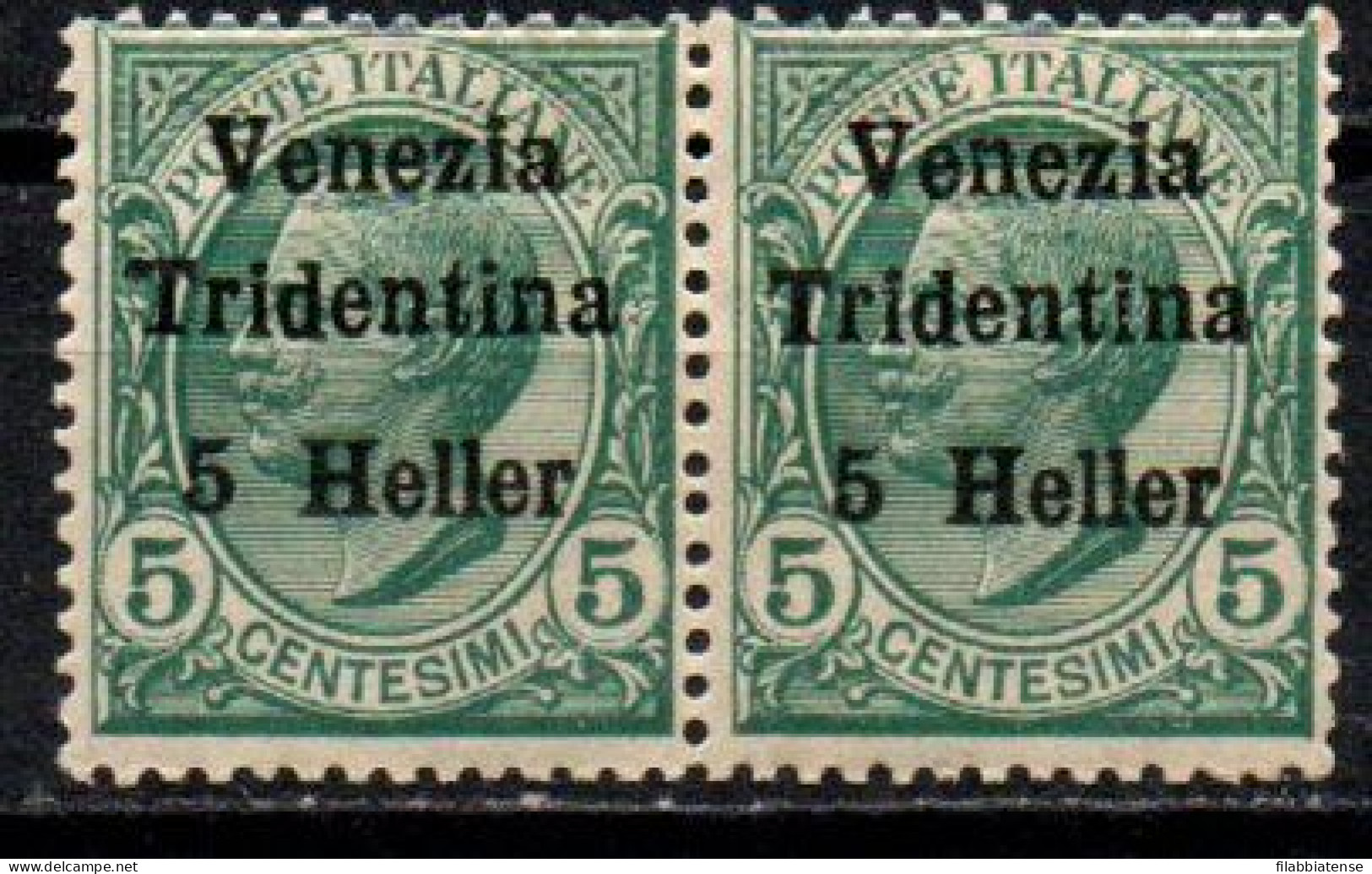 1919 - Italia - Occupazione Trentino 28 Coppia Soprastampati  ------- - Trento