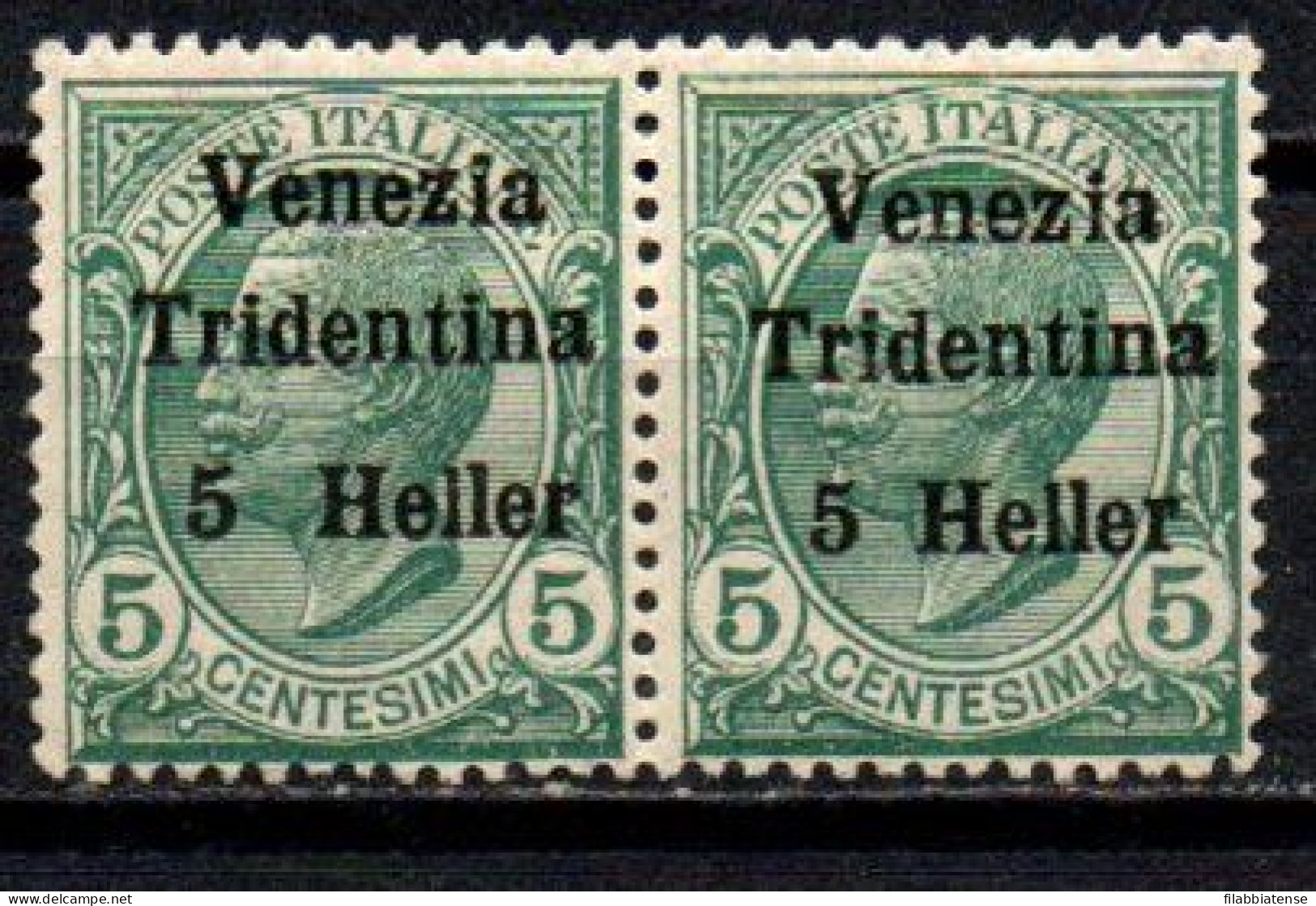 1919 - Italia - Occupazione Trentino 28 Coppia Soprastampati  ------- - Trentin