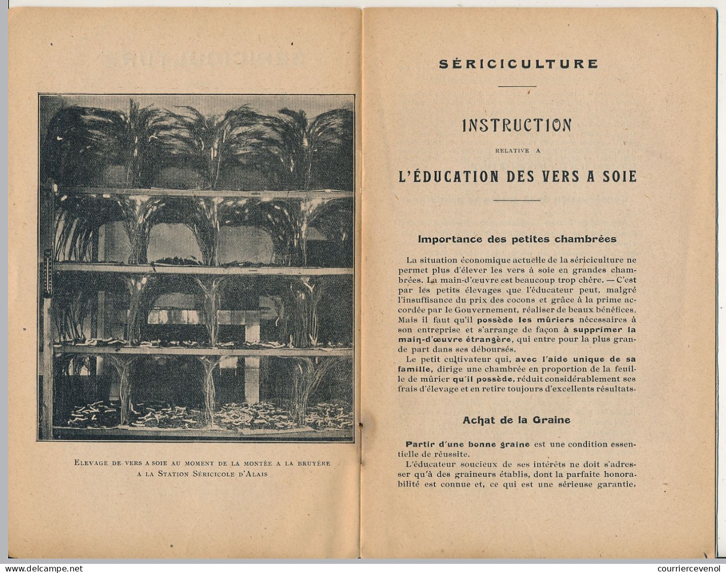 Brochure : SERICICULTURE - Instruction Relative à L'Education Des Vers à Soie - A. MOZZICONACCI - 1921 - Nature