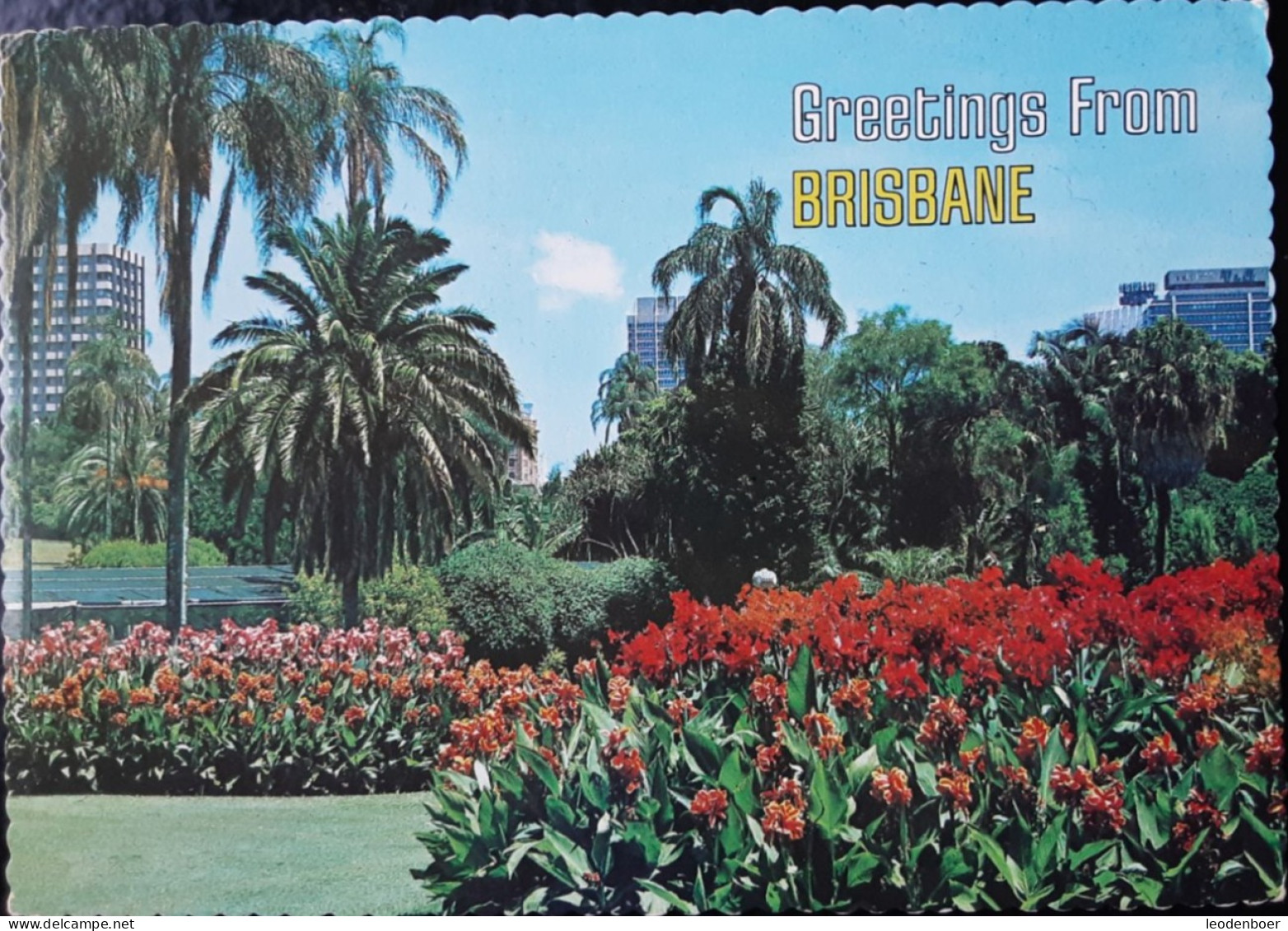 Brisbane - The Botanical Gardens - B13 - Brisbane