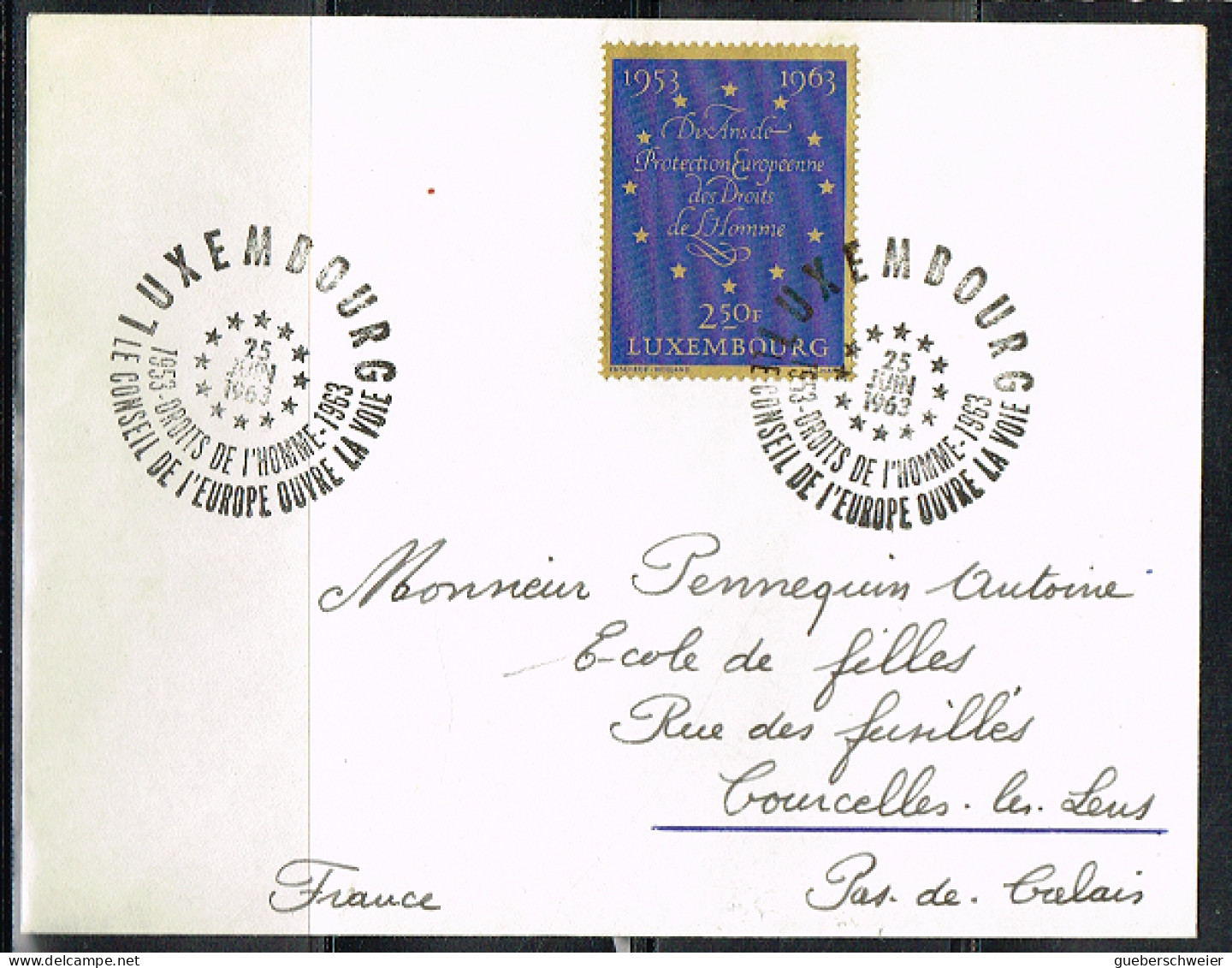 EUR L100 - LUXEMBOURG N° 633 Droits De L'Homme Sur Lettre Obl. 1er Jour - Briefe U. Dokumente