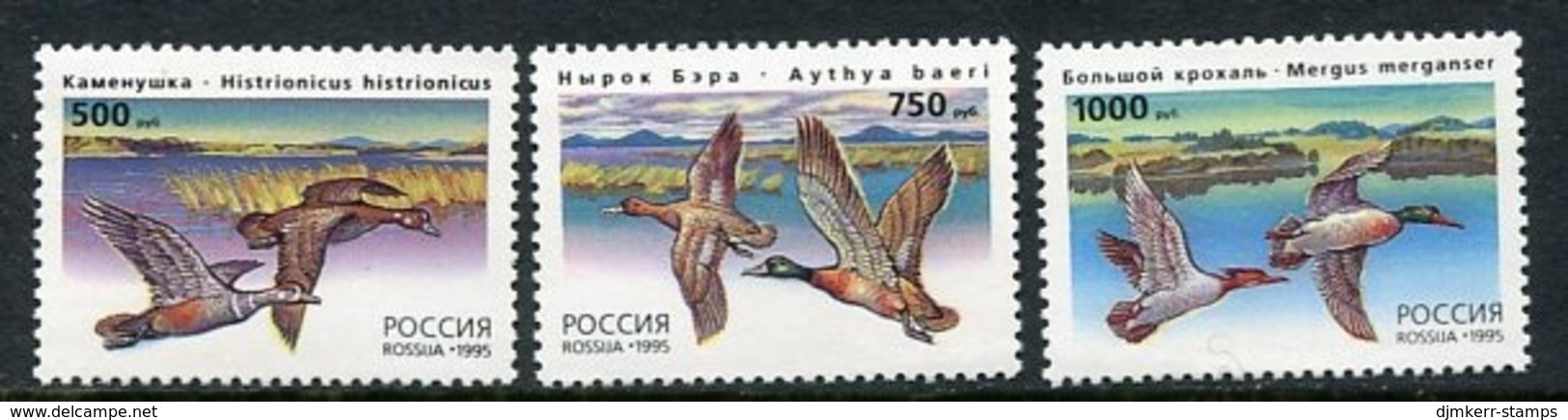 RUSSIA 1995 Wild Ducks IV MNH / **.  Michel 462-64 - Ongebruikt