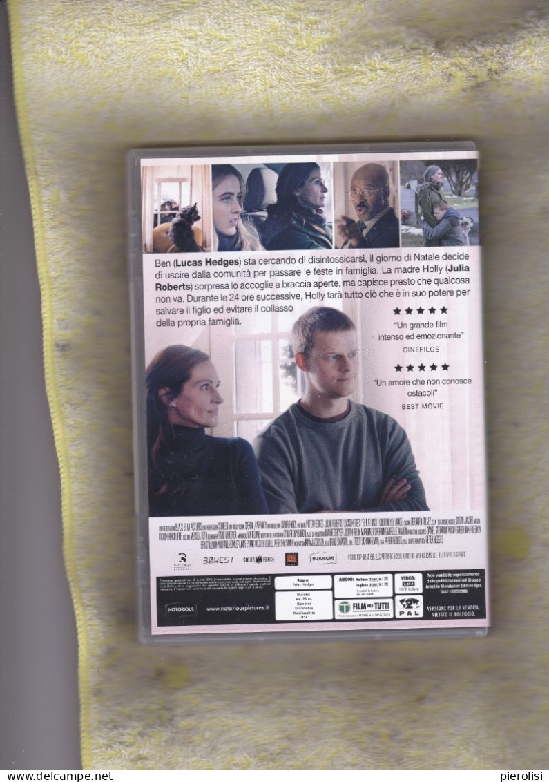 15 - Ben Is Back Di Peter Hedges Con Julia Roberts, Lucas Hedges, Courtney B. Vance - Drama