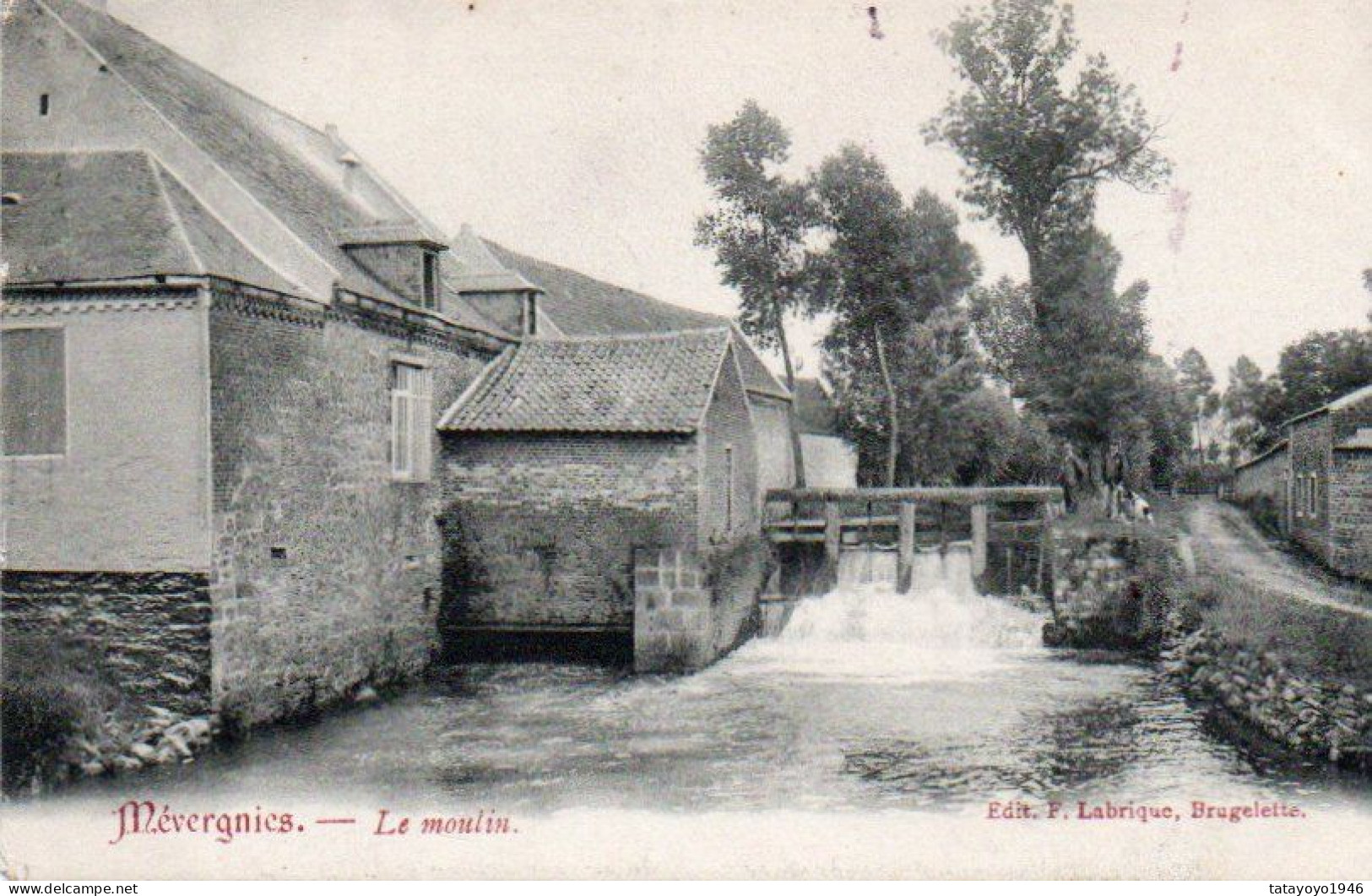 Mévergnies   Le Moulin Voyagé En 1908 - Brugelette