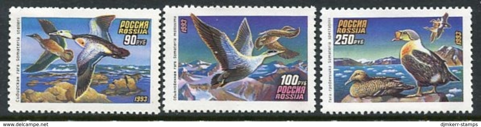 RUSSIA 1993 Wild Ducks II MNH / **. .  Michel 320-22 - Unused Stamps