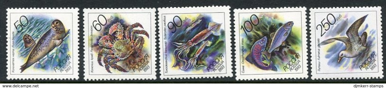 RUSSIA 1993 Marine Fauna MNH / **. .  Michel 323-27 - Unused Stamps