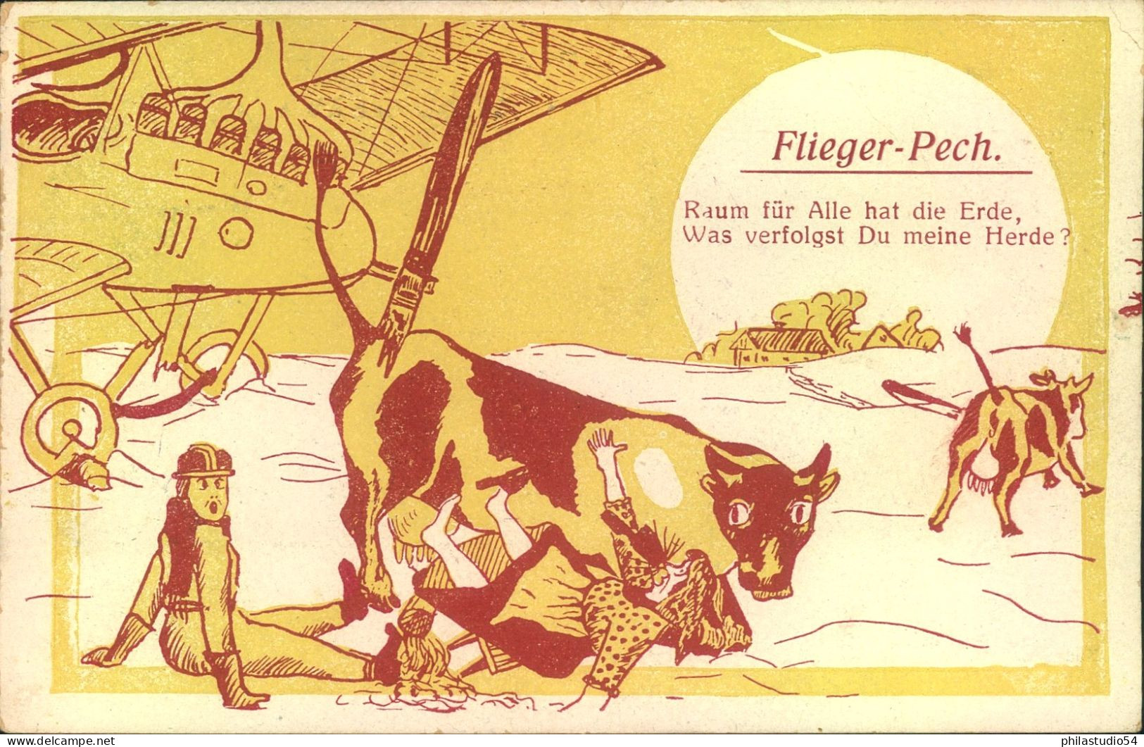 1918, Feldpostkarte "Flieger - Pech" Gelaufen - Lettres & Documents