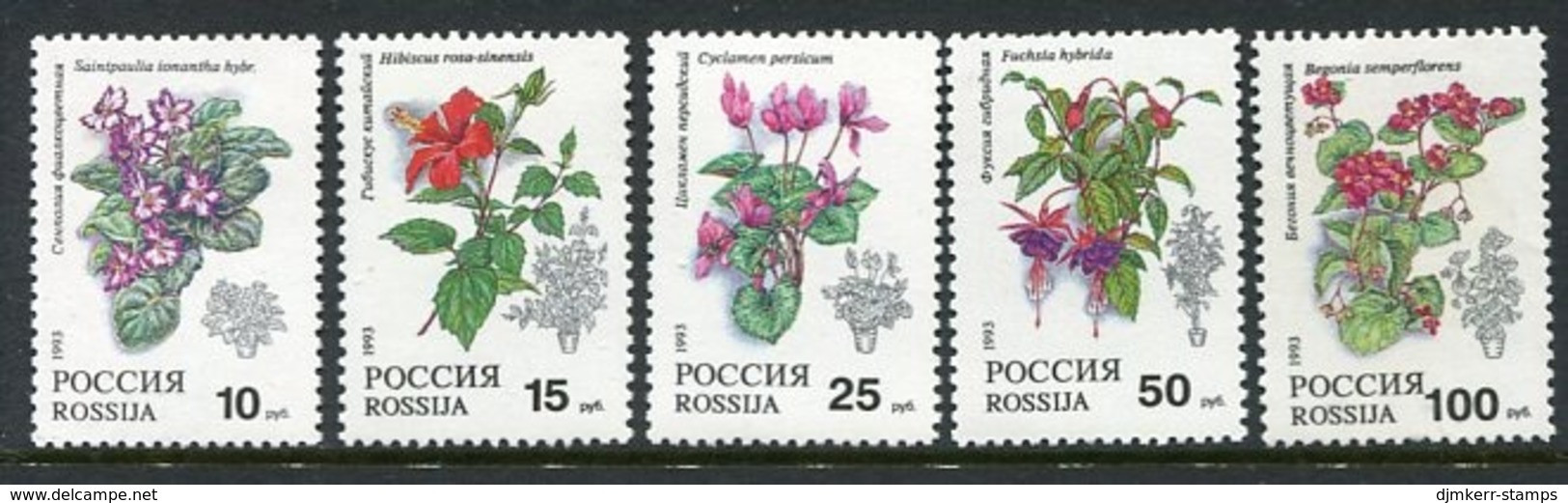 RUSSIA 1993 Houseplants MNH / ** .  Michel 296-300 - Unused Stamps