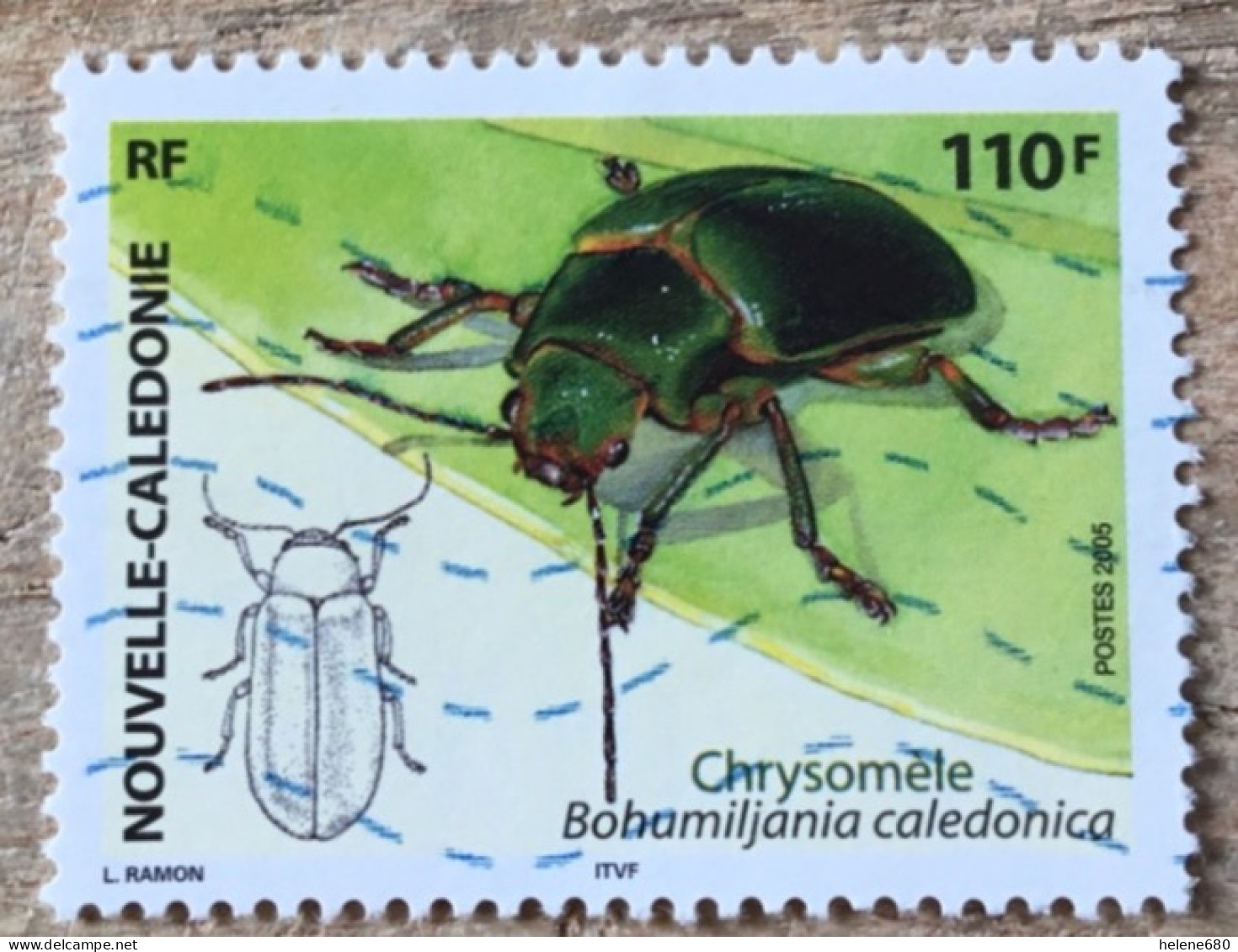 NOUVELLE-CALEDONIE. Insecte N° 960 - Oblitérés