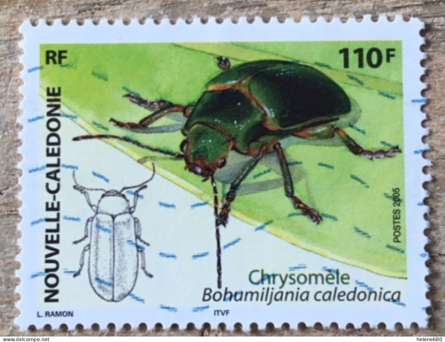 NOUVELLE-CALEDONIE. Insecte N° 960 - Usati