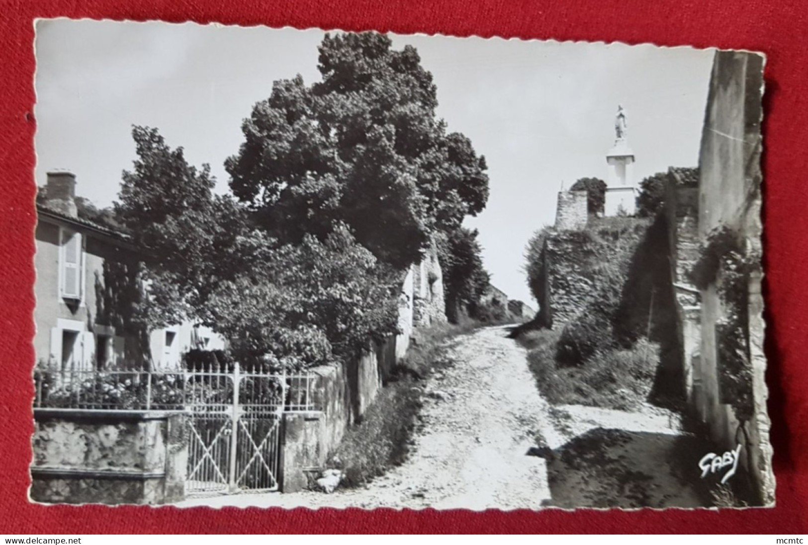 CPSM Petit Format - Chaille Les Marais -(Vendée) - La Vierge Des Marais - Chaille Les Marais