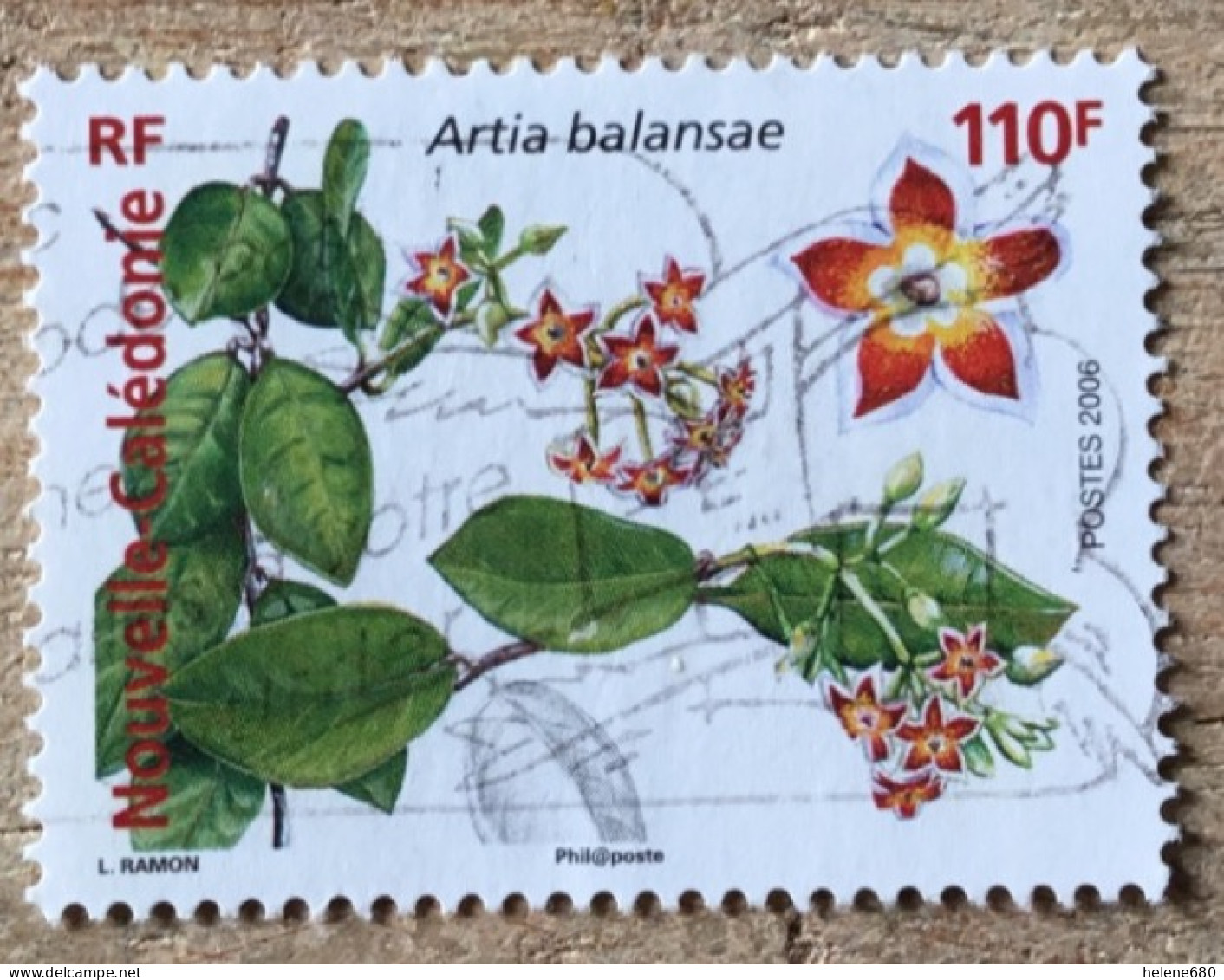 NOUVELLE-CALEDONIE. Flore N° 981 - Oblitérés