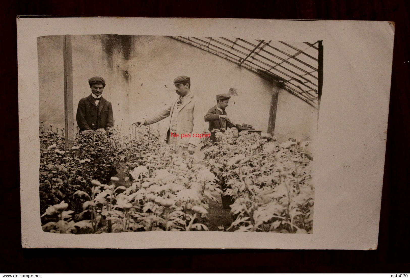 Carte Photo 1910's Fleuriste Horticulteur Tirage Print Vintage - Other & Unclassified