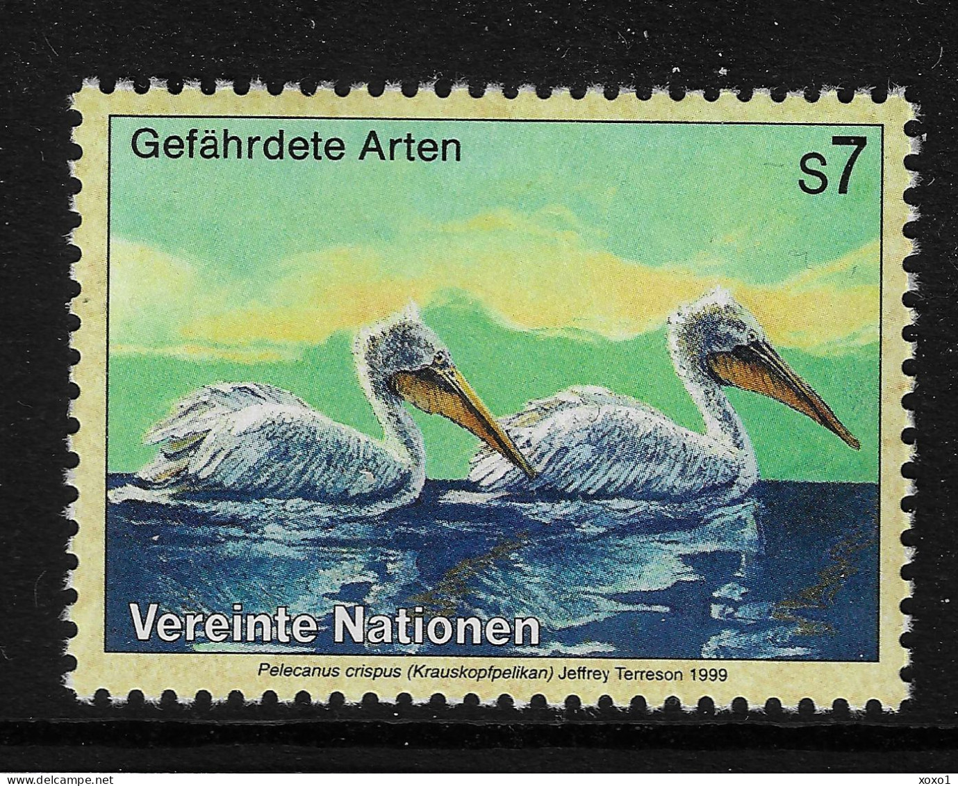 United Nations 1999 MiNr. 288 Vienna - VI BIRDS The Dalmatian Pelican (Pelecanus Crispus) 1v MNH** 1.00 € - Pelikanen