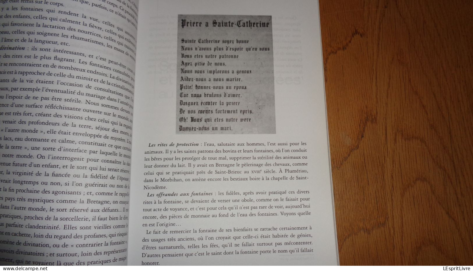 GUIDE DES FONTAINES ET CHAPELLES GUERISSEUSES France Belgique Suisse Régionalisme Pathologie Maladie Sources Eau Saint