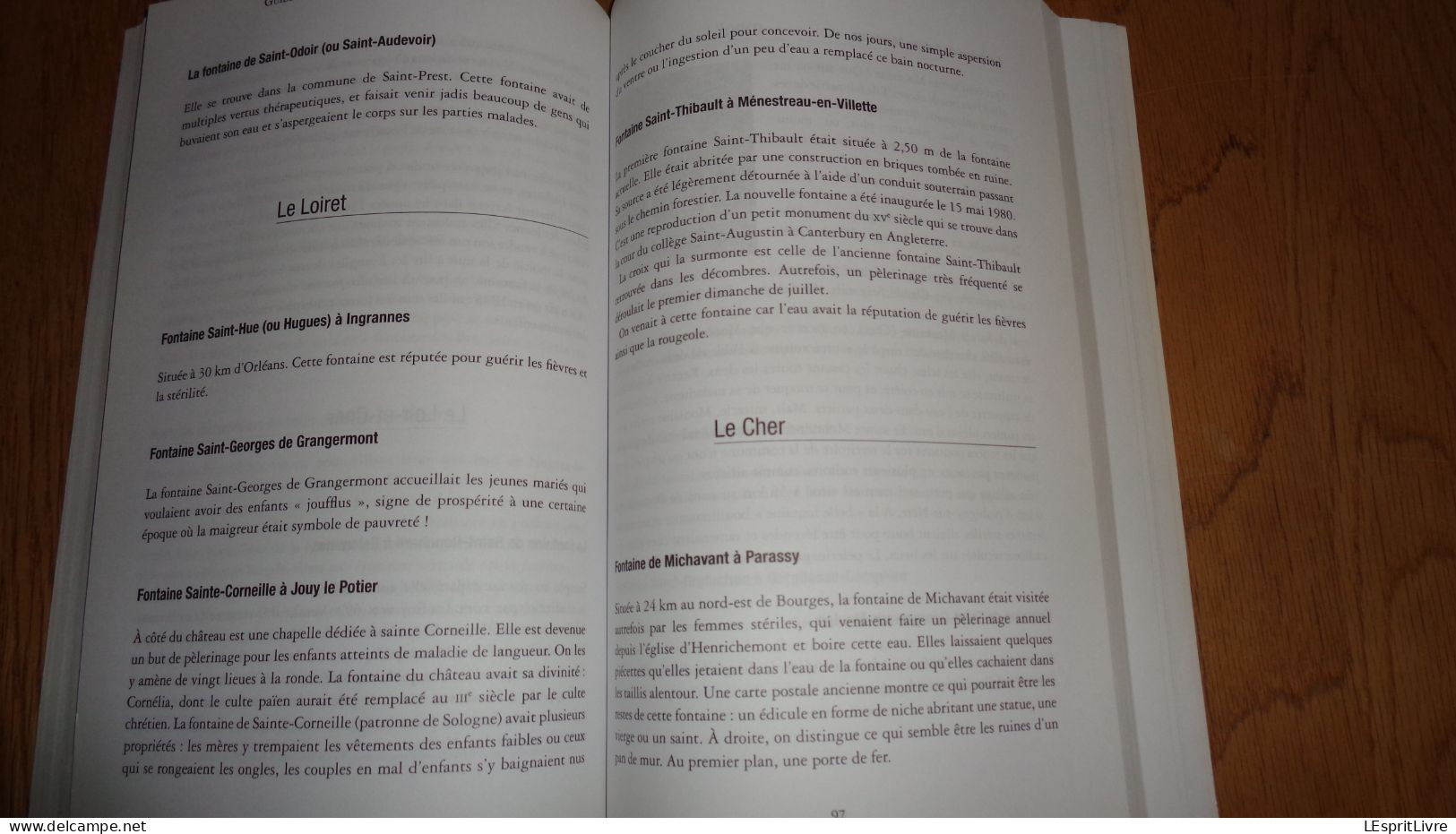 GUIDE DES FONTAINES ET CHAPELLES GUERISSEUSES France Belgique Suisse Régionalisme Pathologie Maladie Sources Eau Saint