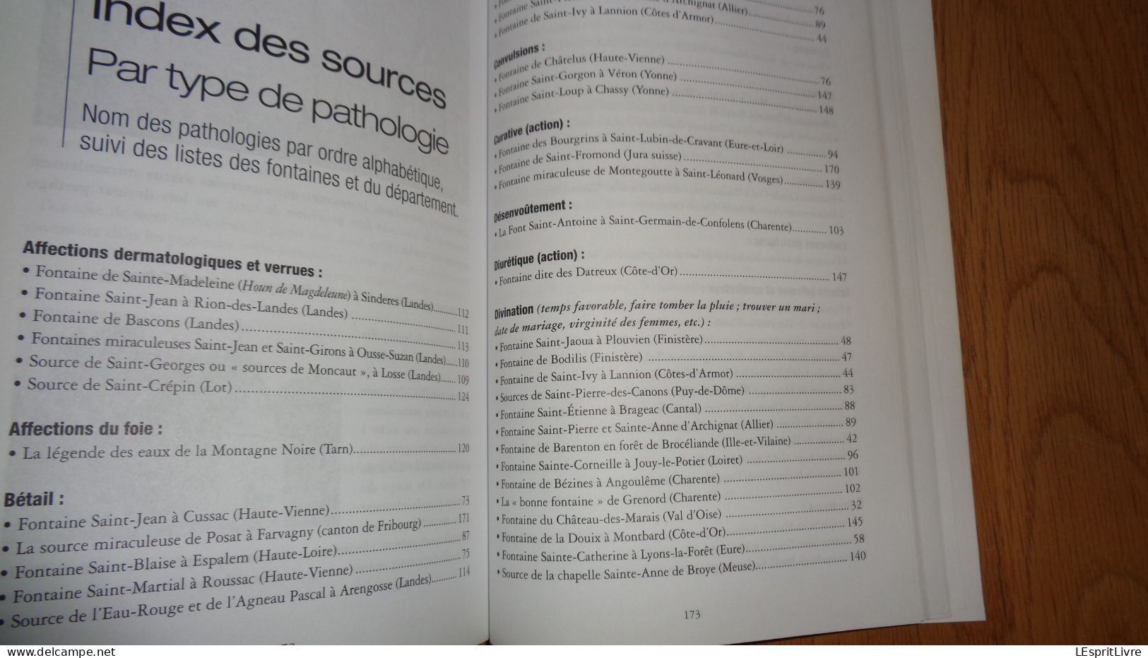 GUIDE DES FONTAINES ET CHAPELLES GUERISSEUSES France Belgique Suisse Régionalisme Pathologie Maladie Sources Eau Saint