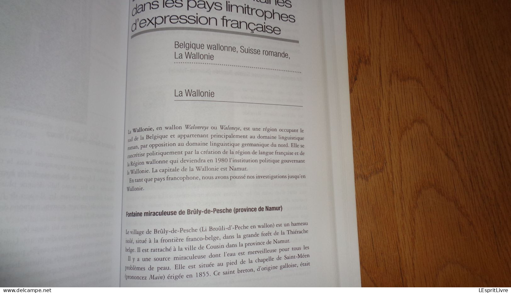 GUIDE DES FONTAINES ET CHAPELLES GUERISSEUSES France Belgique Suisse Régionalisme Pathologie Maladie Sources Eau Saint