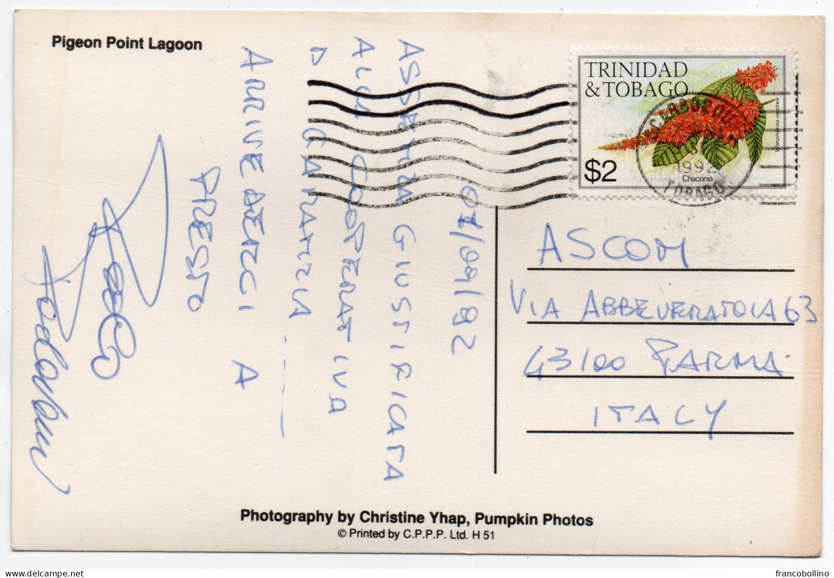 TRINIDAD & TOBAGO - PIGEON POINT LAGOON, TOBAGO / THEMATIC STAMP-FLOWERS - Trinidad