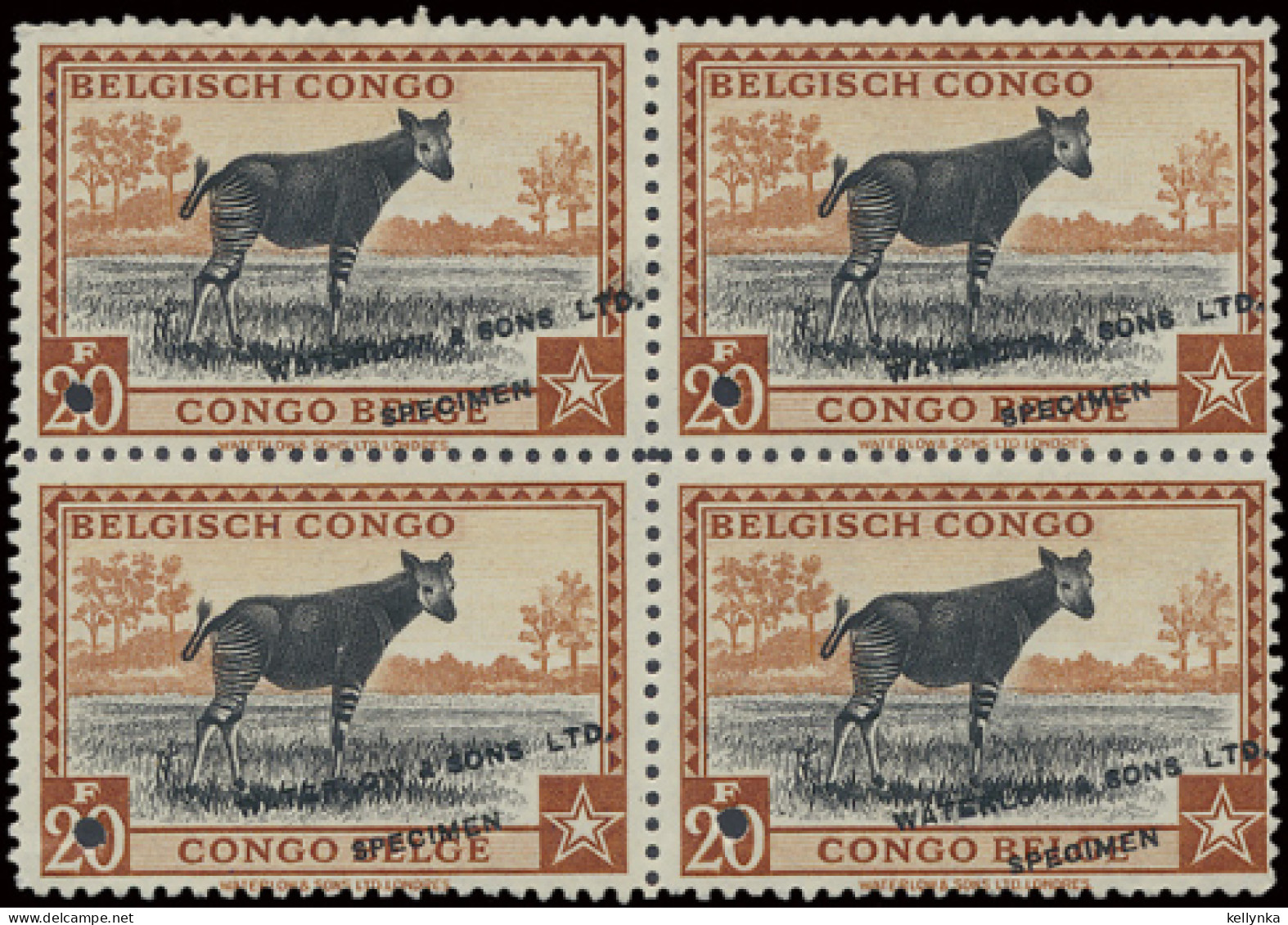 Congo Belge - 246 - Bloc De 4 - Essai - Waterlow & Sons - 1942 - MNH & MH - Ongebruikt