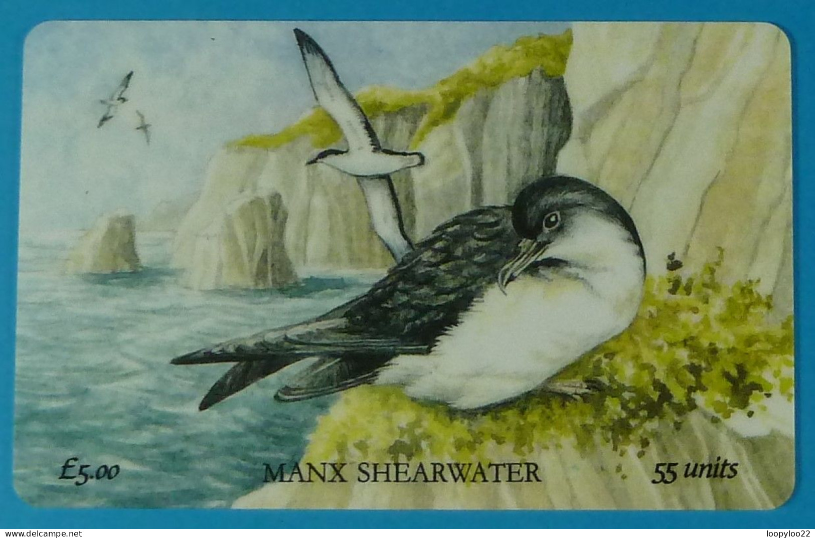 ISLE OF MAN - Manx Telecom - Manx Shearwater - £5 - Specimen Without Control - Man (Isle Of)