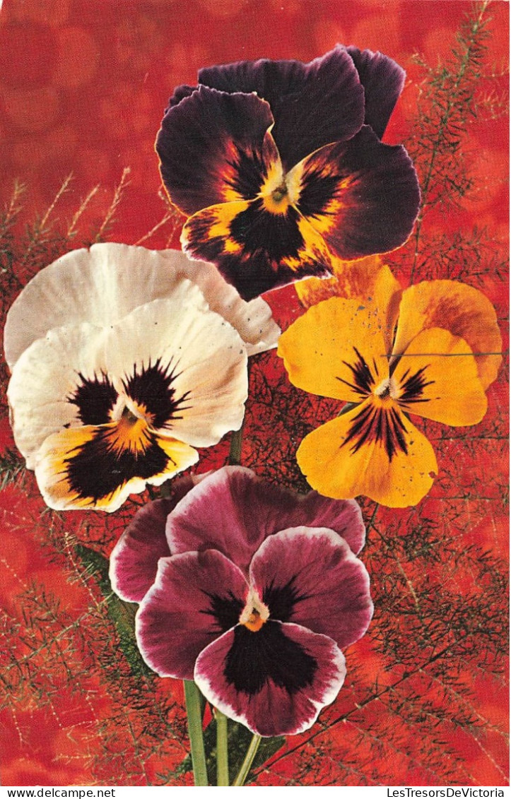 FLEURS PLANTES ARBRES - Fleurs - Pensées- Carte Postale Ancienne - Blumen