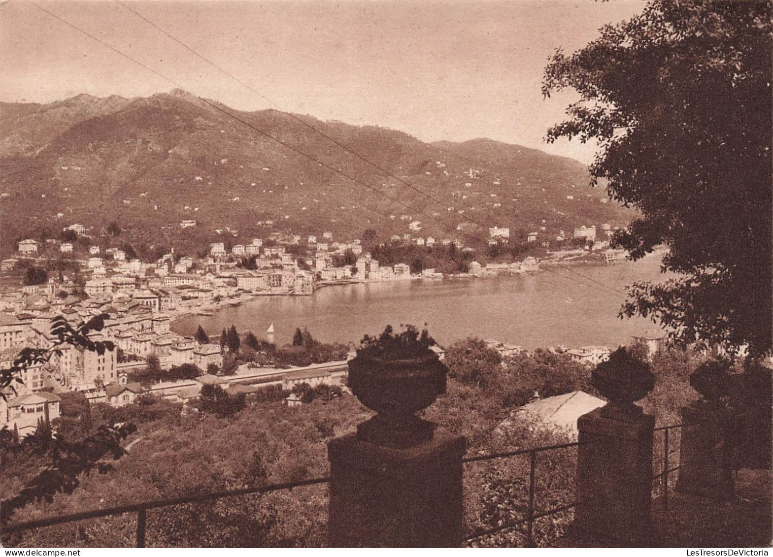 ITALIE - Rapallo - Panorama - Carte Postale Ancienne - Other & Unclassified