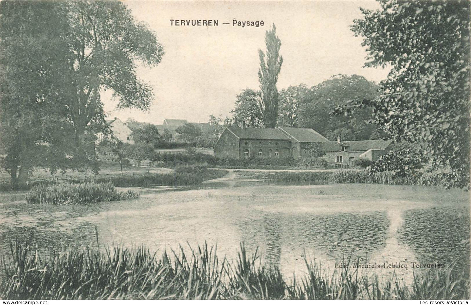 BELGIQUE - Tervueren - Paysage - Carte Postale Ancienne - Tervuren