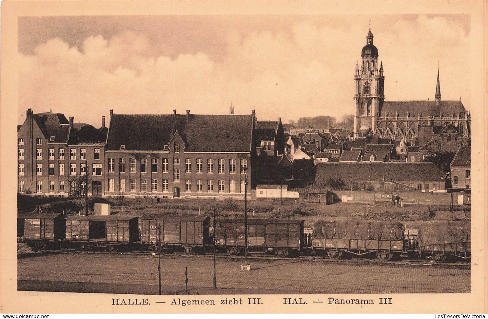 BELGIQUE - Halle - Panorama - Carte Postale Ancienne - Brugge