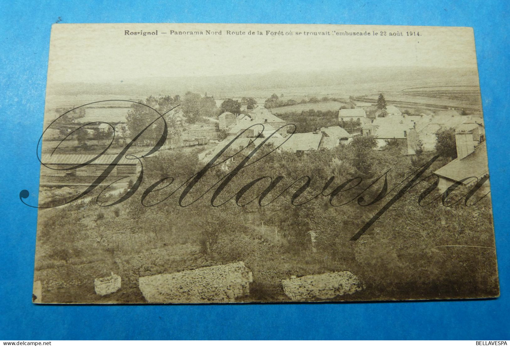 Rossignol  Panorama Nord Route De La Fôret  Embuscade 1914 - Tintigny