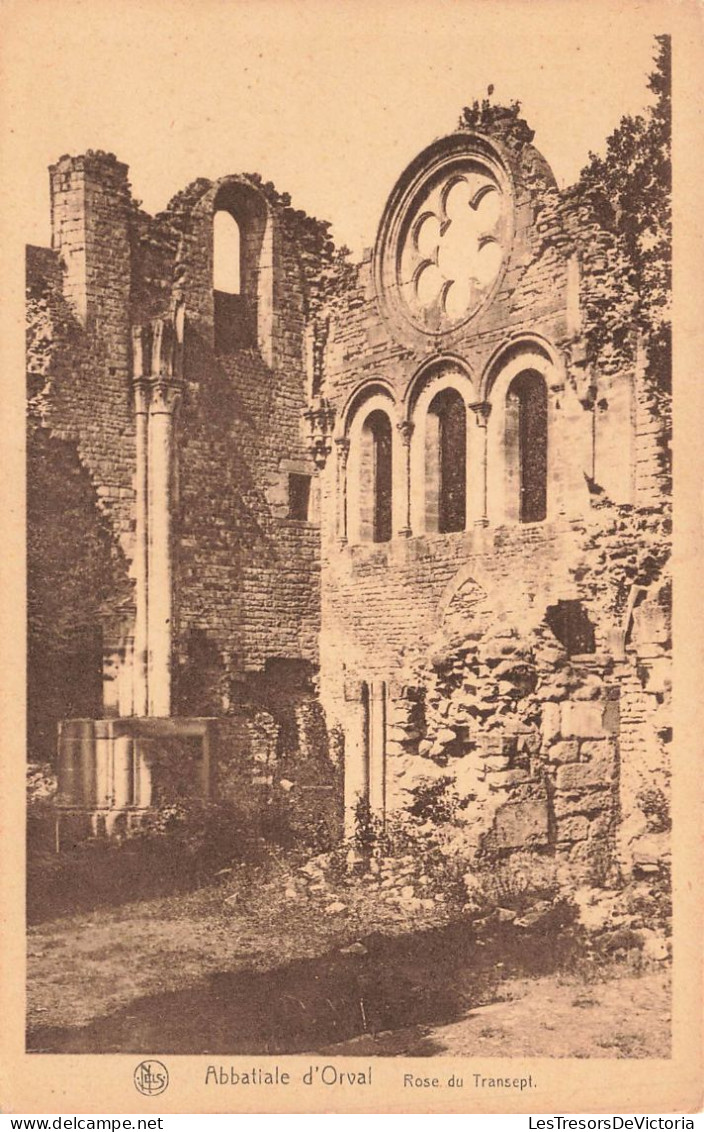 BELGIQUE - Saint Hubert - Abbatiale D'Orval - Rose Du Transept  - Carte Postale Ancienne - Saint-Hubert